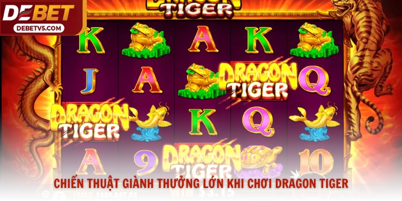 Chiến thuật giành thưởng lớn khi chơi dragon tiger